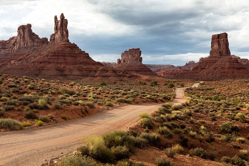 Valley of the Gods, Utah, USA van Arno Fooy