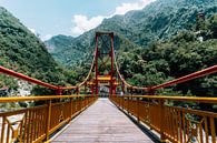 Rood met gele brug in de Taroko Gorge in Taiwan van Expeditie Aardbol thumbnail