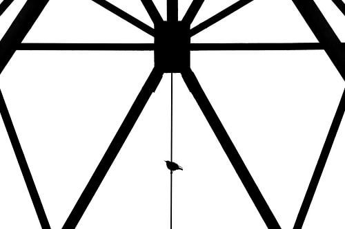 Haute tension