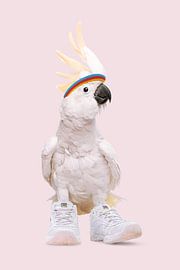 Sneaker Cockatoo von Jonas Loose