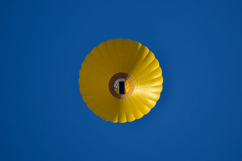 Blue and yellow, the balloon from the frog's perspective