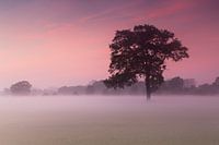 coucher de soleil à Doetinchem