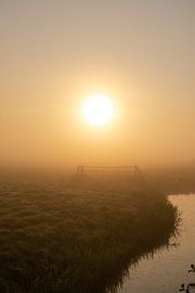 Golden mist over the polder by Manon Huls