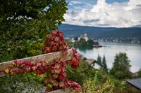 Herfst bij de Wörthersee