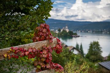 L'automne au lac Wörthersee sur Alfred Meester