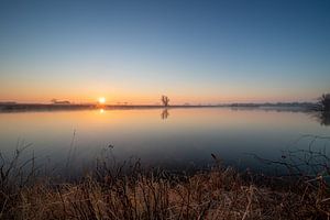 Het eiland van Meijer.