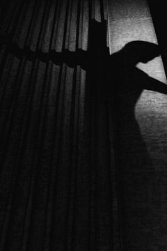 Shadow side by Elke van Putten