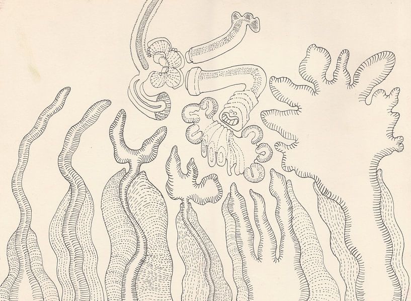 Amorphous Plants by Sandro Cocco