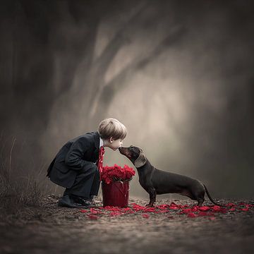 Die Liebe eines Dackels unter Rosenblättern