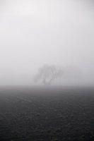 Lonely Out There