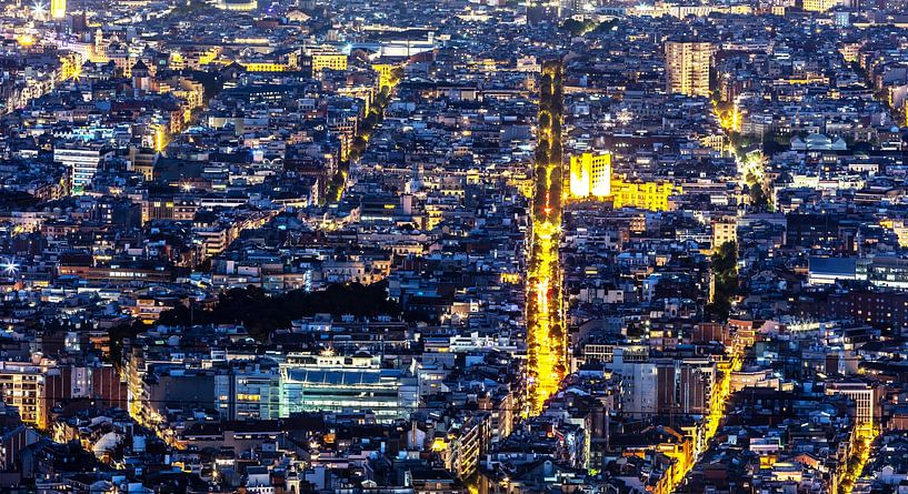 City lights by Frank Herrmann