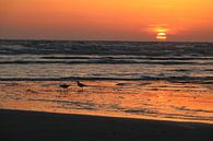 Sunset Quend Plage by Erick van Bommel thumbnail