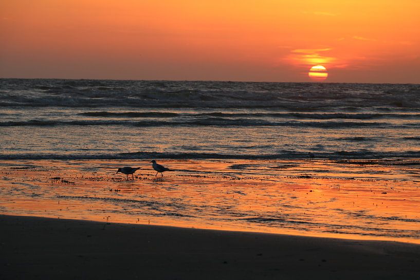 Sunset Quend Plage by Erick van Bommel