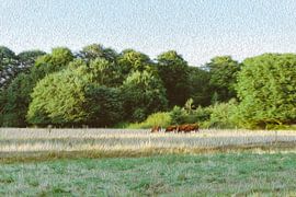 Holland Landscape by Han Dou