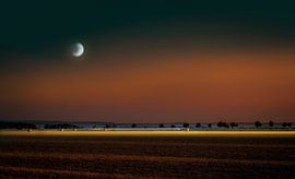 Endless Freedom by Mario van Middendorf