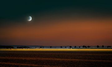 Endless Freedom by Mario van Middendorf