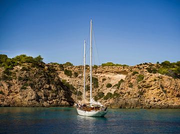 Zeilboot in een idylische baai van Ibiza van Raymond van Olphen