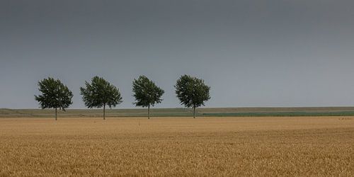 Landschap Oost Groningen