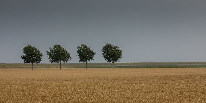 Landschaft Ost-Groningen von Annie Keizer