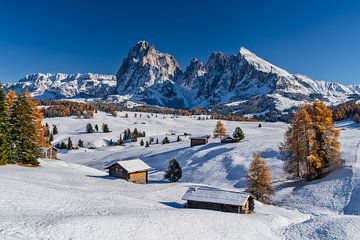 Automne sur l'Alpe de Siusi Tyrol du Sud sur Achim Thomae Photography
