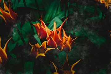 Moderne botanische halb-abstrakte Tulpen in Orange auf Smaragdgrün von Dina Dankers