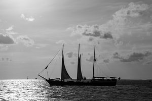 Segeln am Horizont.
