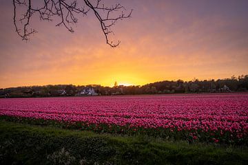spring sunset by Sebastian Stef