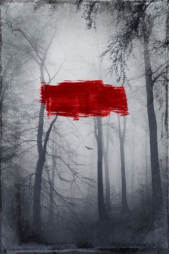 Touch Of Red II - Tree Spirits - Forest in Fog by Dirk Wüstenhagen