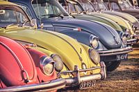 Row of classic Volkswagen Beetles
