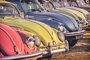 Reihe klassischen Volkswagen Beetles von Martin Bergsma