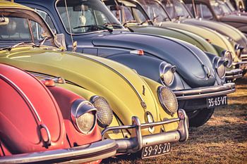 Row of classic Volkswagen Beetles