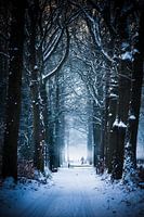 Winterspur