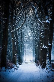 Winter lane by Rik Hurk