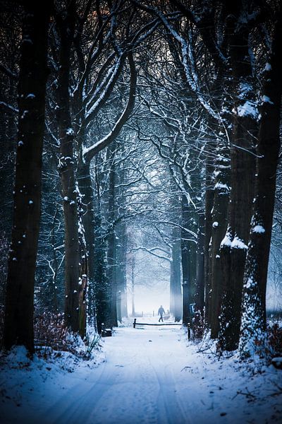 Chemin d'hiver par Rik Hurk
