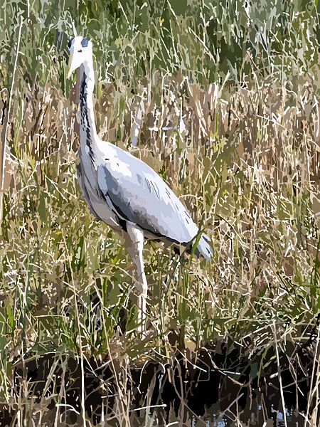 025. Blauwe reiger van Domstad Rudie