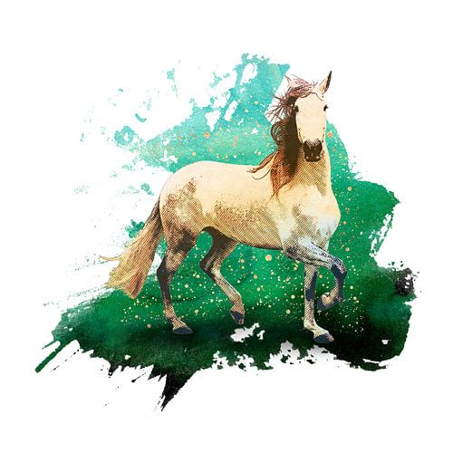 Het prachtige paard