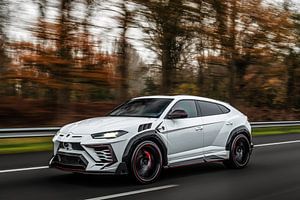 Lamborghini Urus Mansory Venatus van Bas Fransen