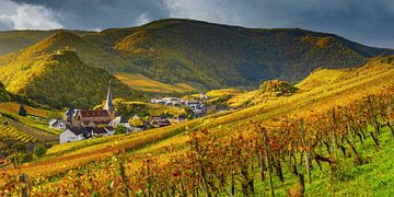 Vineyards in autum, Ahrtal by Walter G. Allgöwer