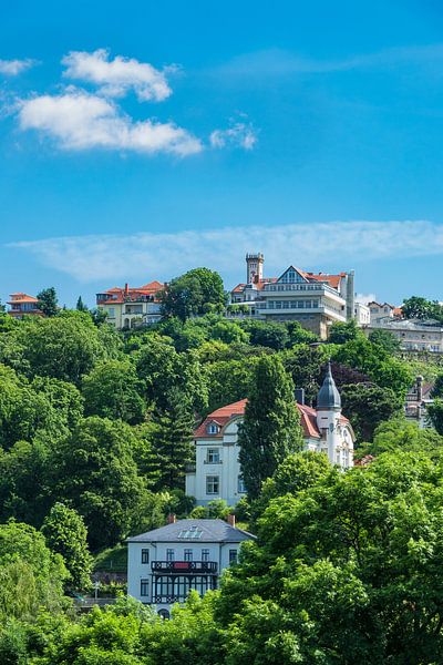 Blick auf Loschwitz bei Dresden par Rico Ködder