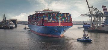 Groot containerschip bij een terminal in de vroege avonduren van Jonas Weinitschke