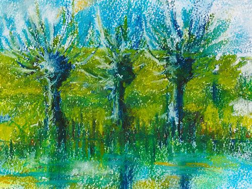 Willows along the Dutch dike