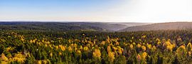 Panorama de la forêt près de Kaltenbronn en Forêt-Noire sur Werner Dieterich