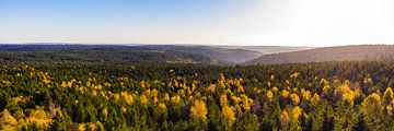 Panorama forest near Kaltenbronn in Black Forest by Werner Dieterich