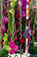 Gladiolen Blumenarrangement