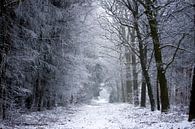 Winterlandschap in Drenthe van Karijn | Fine art Natuur en Reis Fotografie thumbnail