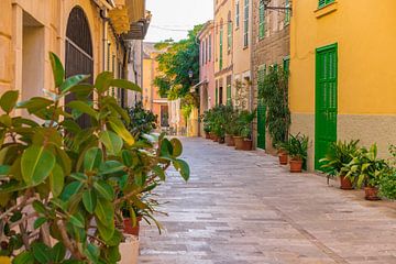 Mooie straat in de oude stad van Alcudia op Mallorca van Alex Winter