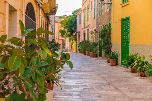 Mooie straat in de oude stad van Alcudia op Mallorca