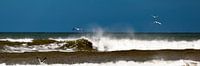 Strand en golven op Terschelling