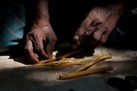 Cinamon von Catching Moments