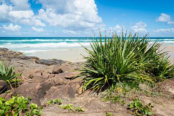 Prachtig strandlandschap op Fraser Island van Troy Wegman